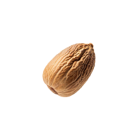 AI generated Floating Of Bunches Nutmeg, Without Shadow, Isolated Transparent Background png