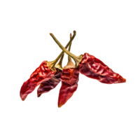 AI generated Bunch Red Very Dried Small Chilies Cayenne, Isolated Transparent Background png