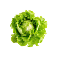 ai generiert frisch Grün Kopfsalat, ohne Schatten, isoliert transparent Hintergrund png