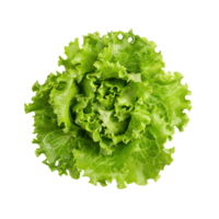 ai generiert schwebend von einer frisch Grün Kopfsalat, ohne Schatten, isoliert transparent Hintergrund png