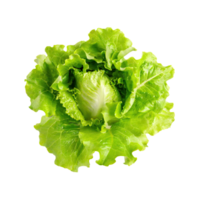 AI generated Floating Of One Fresh Green Lettuce, Without Shadow, Isolated Transparent Background png