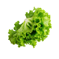 AI generated Floating Of One Fresh Green Lettuce, Without Shadow, Isolated Transparent Background png