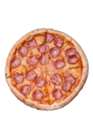 Tasty fresh pizza with salami, cheese, tomatoes, spices and salt png