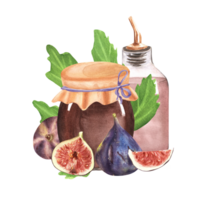 Hand-drawn watercolor illustration. Fig jam and lemonade in glass jars and bottle and also some ripe fresh figs and slices next to them png