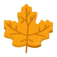 Editable design icon of maple leaf vector