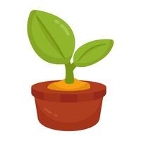 Vector design of growing plant