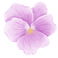 acuarela mano dibujado ilustración Violeta púrpura flor para Boda invitación nupcial ducha saludo tarjeta png