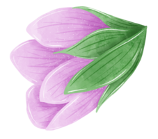 Aquarell Hand gezeichnet Illustration violett lila Blume zum Hochzeit Einladung Braut- Dusche Gruß Karte png