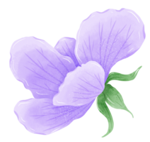 Watercolor hand drawn illustration Violet purple flower for wedding invitation bridal shower greeting card png