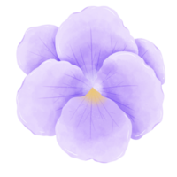 Watercolor hand drawn illustration Violet purple flower for wedding invitation bridal shower greeting card png