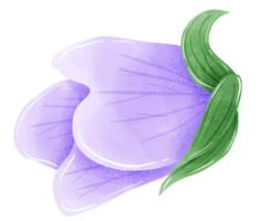 Aquarell Hand gezeichnet Illustration violett lila Blume zum Hochzeit Einladung Braut- Dusche Gruß Karte png