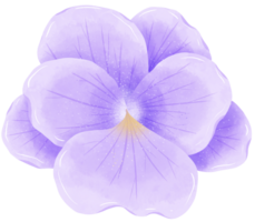 Aquarell Hand gezeichnet Illustration violett lila Blume zum Hochzeit Einladung Braut- Dusche Gruß Karte png