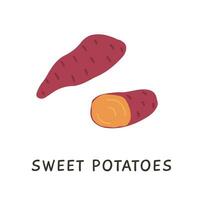 Sweet yam potato. Hand drawn simple vegetable ingredient. Healthy root veggie icon for farming market or menu. Colored flat doodle element. Vector illustration isolated on white.