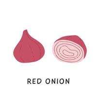 Flat style elements of cut and whole red onion. Fresh organic ripe raw vegetable or gathered crop isolated on white background. Simple colored hand drawn vector illustration.