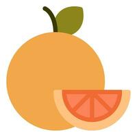 Grapefruit icon illustration for web, app, infographic, etc vector