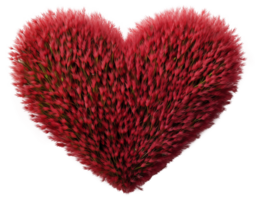 AI generated Grass Hearts of different shapes, Valentine's day on a transparent background png