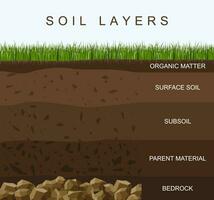 Soil layers diagram earth texture, stones. Ground with green grass on top. Mineral particles, sand, humus and stones, natural fertilizer. Geology infographics. Education for kids. Vector illustration.