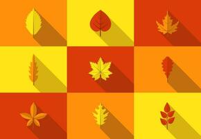 Set of colorful autumn leaves icons with long shadow. Fallen autumn leaves collection in flat style. Vector illustration.