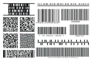 Barcodes and QR codes collection set. Black striped code for digital identification. Vector code information, QR, store scan codes. Industrial coding information. Vector illustartion