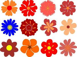 Colorful Single Simple Flower vector