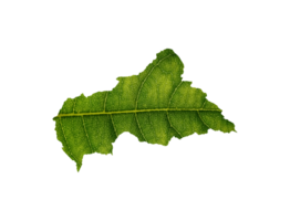 Central African map made of green leaves ecology concept png