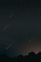 noche cielo con un lote de estrella antecedentes tener silueta bosque primer plano vertical forma vector ilustración.