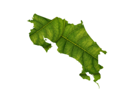 costa rica carte fabriqué de vert feuilles écologie concept png