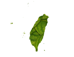 Taiwan map made of green leaves ecology concept png