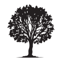 collection arbre silhouette transparent png. png