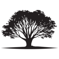 collezione albero silhouette trasparente png. png
