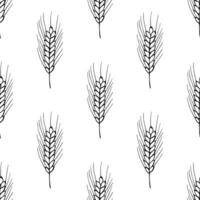 Seamless pattern with wheat doodle for decorative print, wrapping paper, greeting cards, wallpaper and fabric vector