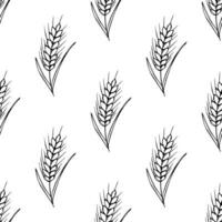 Seamless pattern with wheat doodle for decorative print, wrapping paper, greeting cards, wallpaper and fabric vector