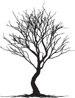 minimal Naked Tree Silhouette vector silhouette, black color silhouette, white background 13