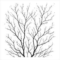 Naked Tree vector silhouette black color, a dead tree vector silhouette, tree branches silhouette