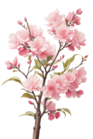 ai generado hermosa floreciente Cereza árbol en primavera png