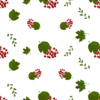 Illustration pattern of ripe bright red viburnum and green leaves on a transparent neutral background. Elements for your design png