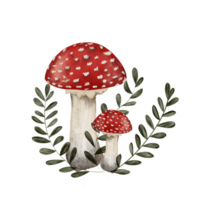 Beautiful illustration pattern of an inedible fly agaric mushroom with a red cap and a white dot on a transparent neutral background png