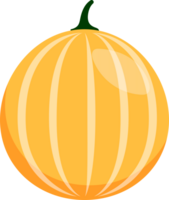 Cute Cantaloupe Fruit png