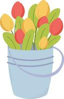 Spring illustration with bucket and bouquet of tulips. Vector illustration