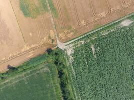 Crossroads paved roads through the fields. View from above photo