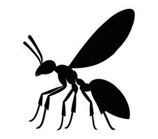 Acacia Ant. Vector image. White background.