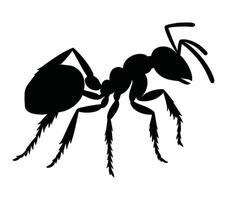 Acacia ant vector. Acacia ant vector icon in flat style.