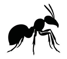 Black and white vector illustration of acacia ant.