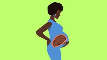 2d pregnancy concept video