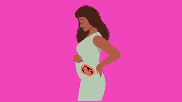 2d Schwangerschaft Konzept video