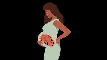 2d gravidanza concetto video