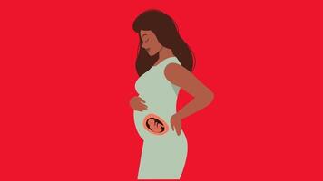 2d pregnancy concept video