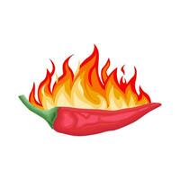 hot fire with hot chili illustration vector