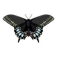 mosca mariposa dibujos animados vector ilustración