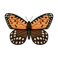 wing butterfly cartoon vector illustration